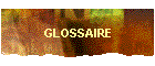 GLOSSAIRE